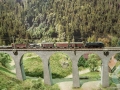 Hochschwarzwald 11 - Mixed freight on the Ravenna Viaduct heading to Freiburg Wiehre