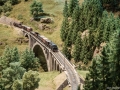 Hochschwarzwald 43 - Mixed freight on the Gutach bridge 1