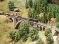 Hochschwarzwald 44 - Mixed freight on the Gutach bridge 2