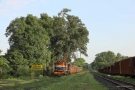 Train to Patalpani 029 - Train 52963 arriving at Patalpani