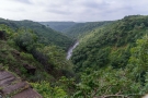 Train to Patalpani 048 - Dense forests in a valley form the backdrop of the line
