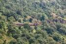 Train to Patalpani 071 - Train 52987 appears lost in the jungle