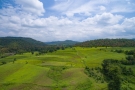 Train to Patalpani 127 - The forests and fields of Dhulghat