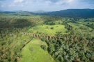 Train to Patalpani 128 - Aerial view of the Dhulghat spiral viaduct