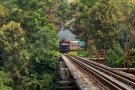 Train to Patalpani 137 - After looping around the spiral Train 52973 emerges through the forest and onto the viaduct